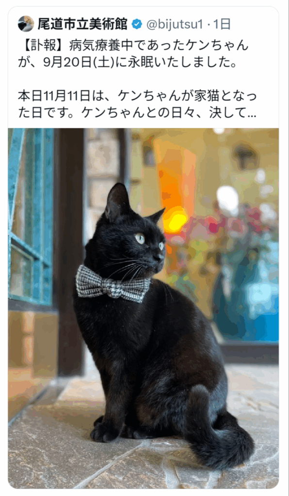 尾道市立美術館の黒猫ケンちゃん、虹の橋へ――警備員さんとの攻防、世界