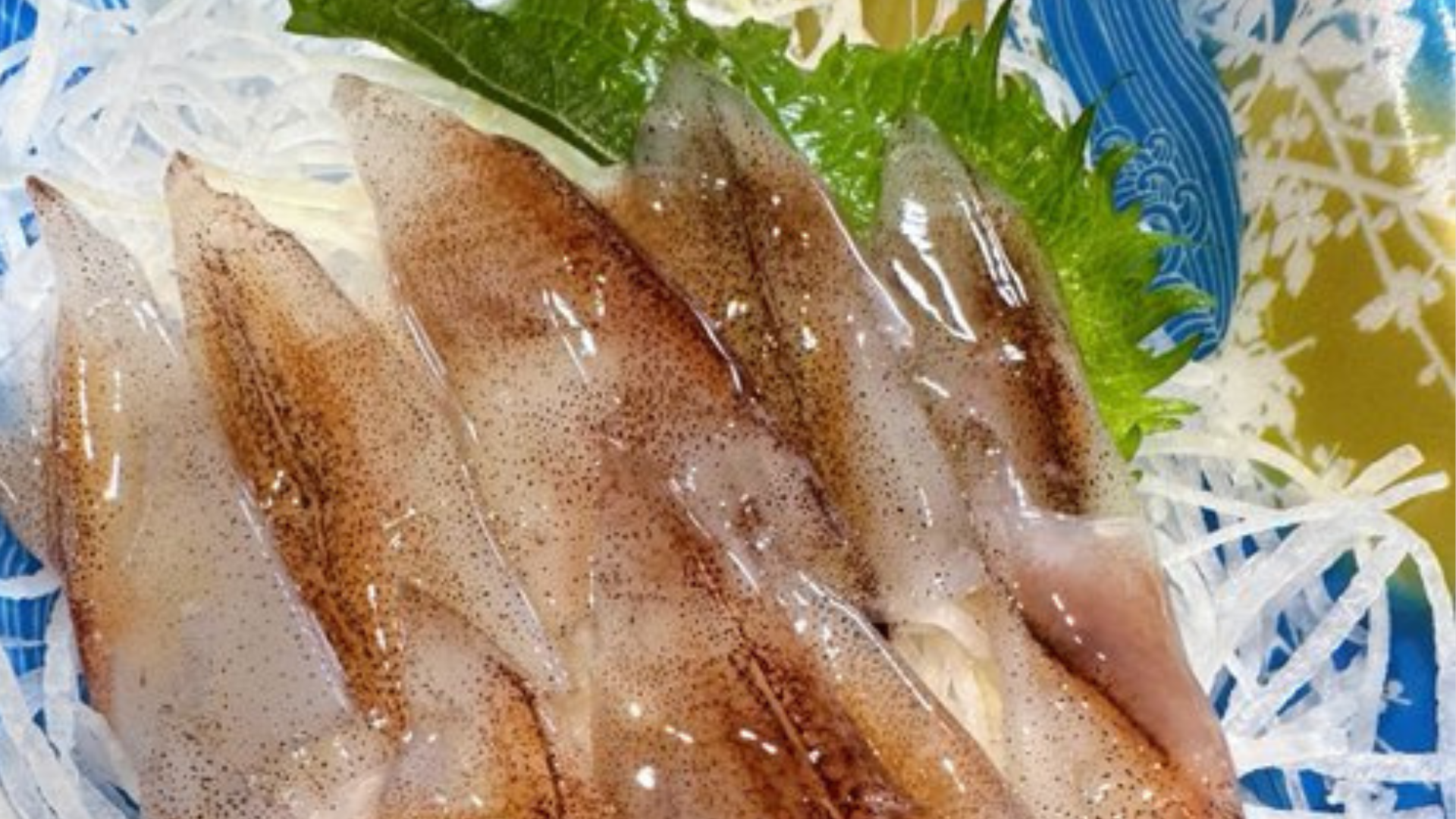 富山市観光協会公式Xより